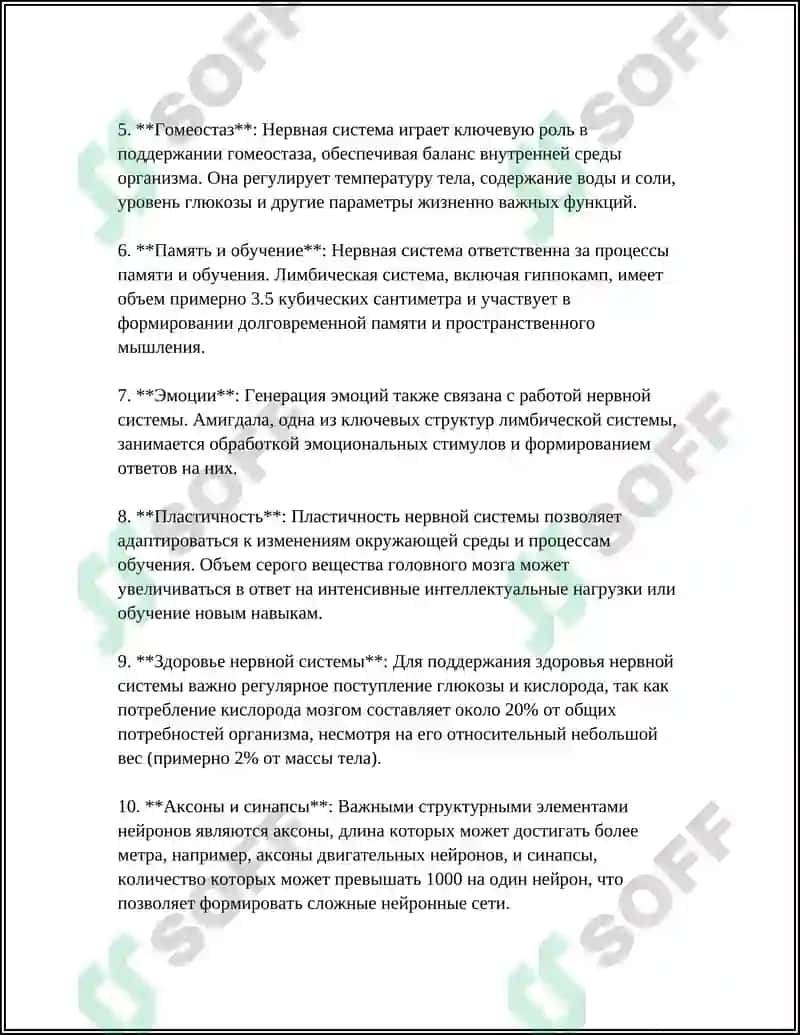 Анатомия нервной системы 7