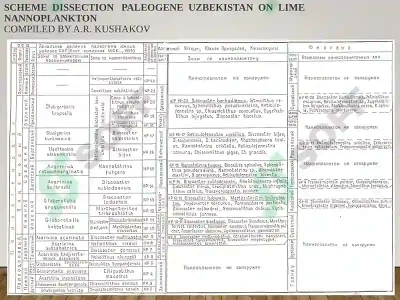СТРАТИГРАФИЯНИНГ АСОСИЙҚОИДАЛАРИ 7