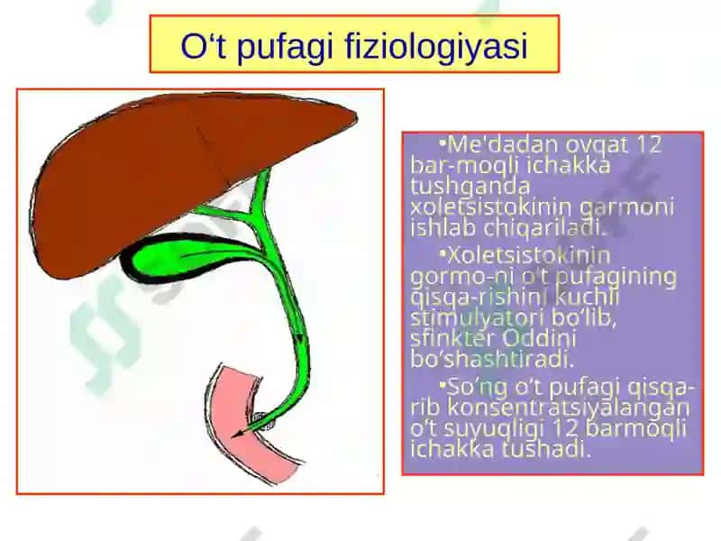O‘t tosh kasalligi 7