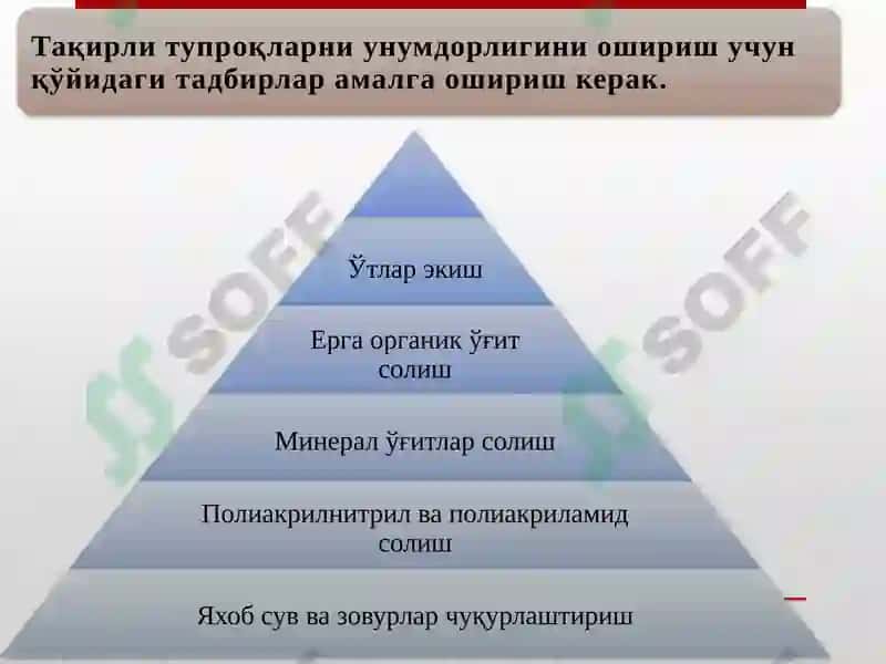 Гидроморфтупроқлар. Чўл зонаси тупроқлари 7
