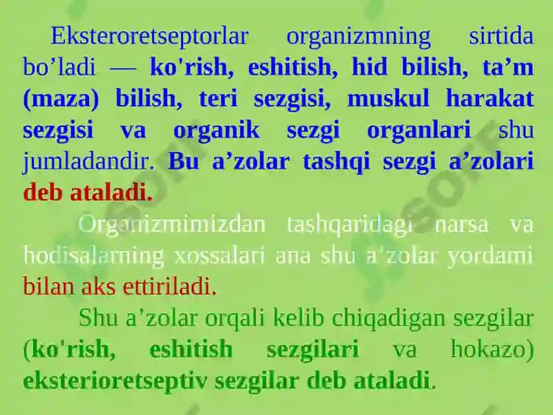 SEZGILAR TO'G'RISIDA UMUMIY TUSHUNCHA 7