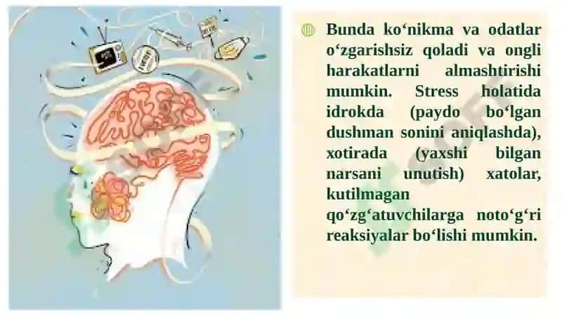 Stressnibartaraf etuvchiterninglar 8