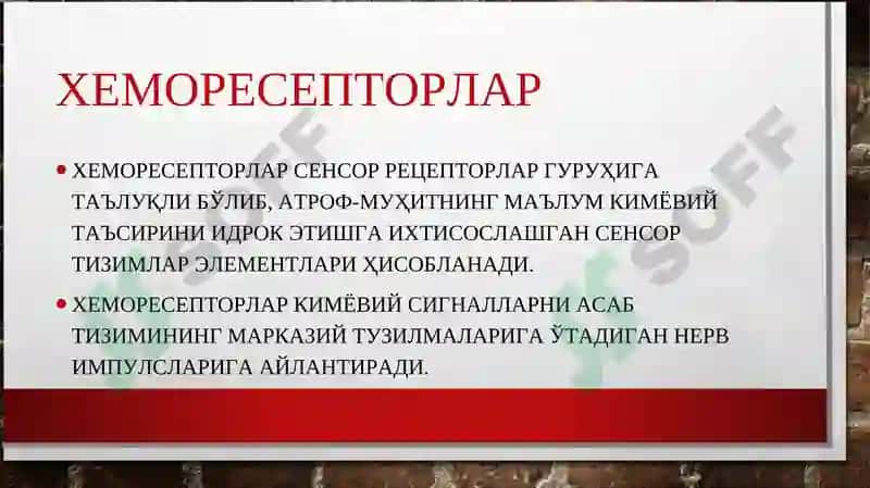Сезгилар клаcсификацияси 8