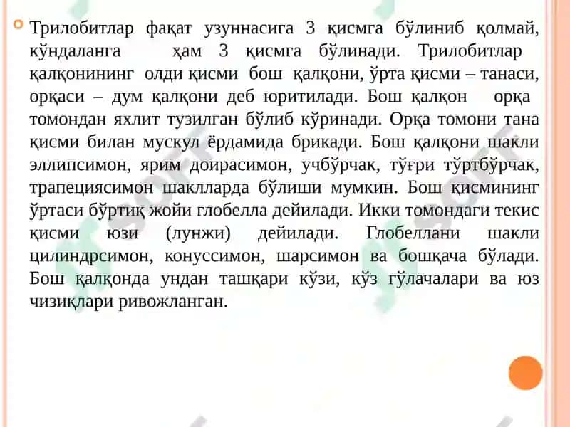 Халқали чувалчанглар тури 8