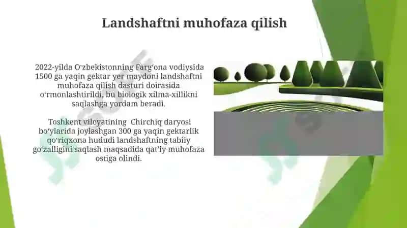 Landshaft haqida tushuncha 8