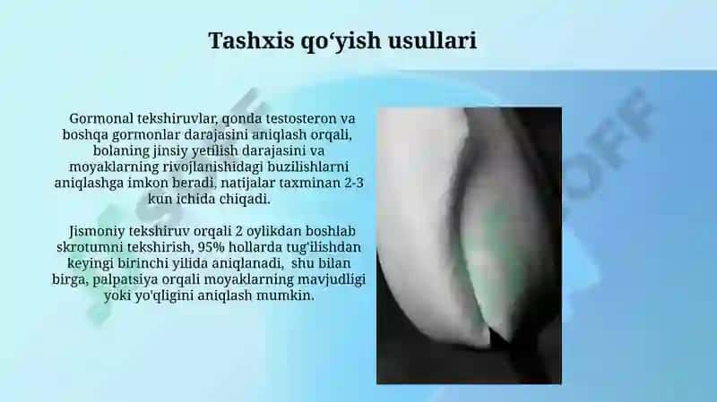 Moyakning yorg'oqga tushishi jarayoni 8