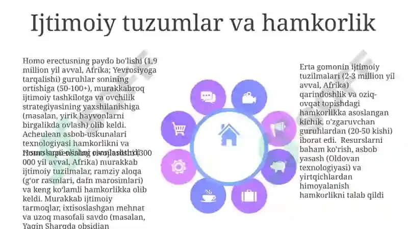 Primatlar kelib chiqishi va hominidlar evolyutsiyasi 8