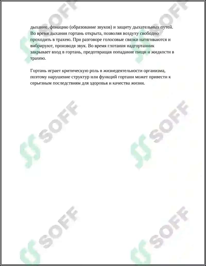 ИЗУЧЕНИЕ СТРОЕНИЯ РЕЧЕВОГО АППАРАТА 8