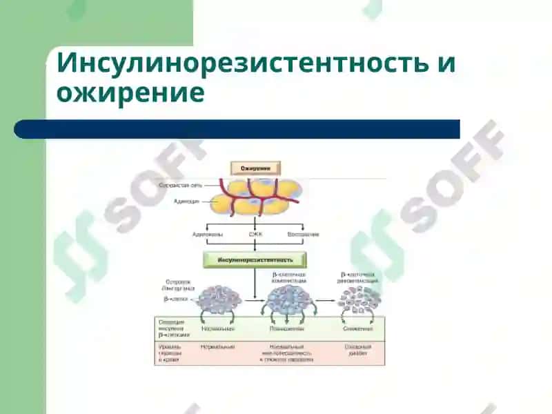 Сахарный диабет 8