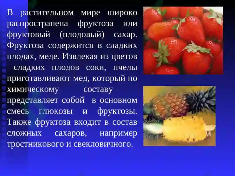Углеводы, Химия, 10 класс 8