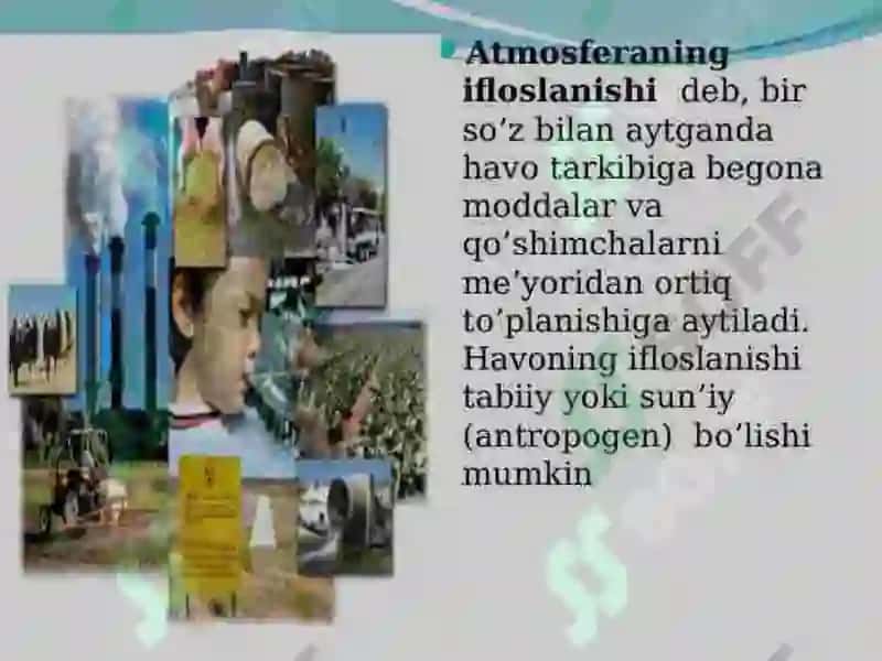 Ekologiya va inson salomatligi 8