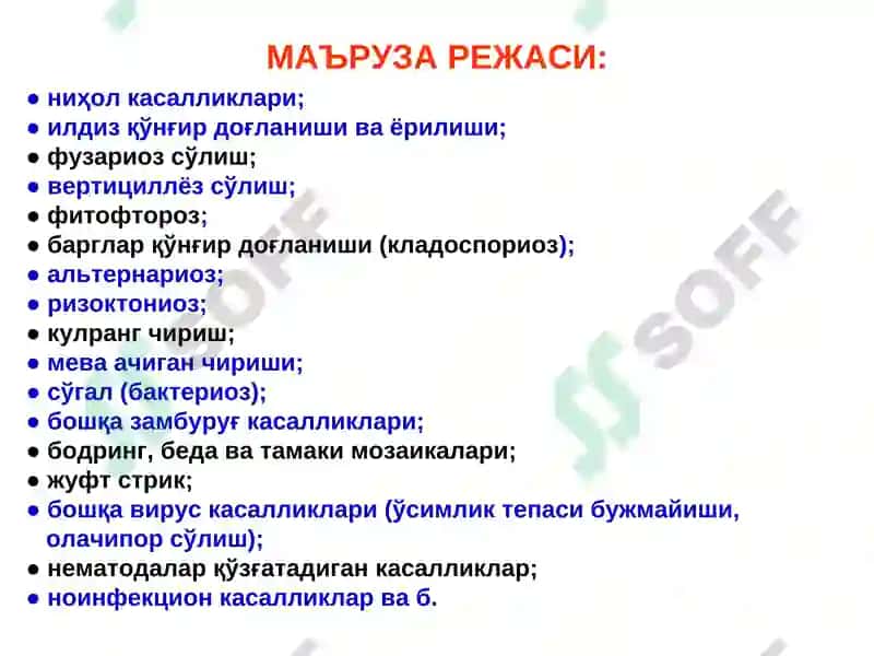 ҚИШЛОҚ ХЎЖАЛИКФИТОПАТОЛОГИЯСИ 8