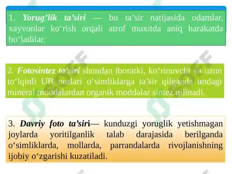 OPTIK NURLARNING FOTOBIOLOGIK TA’SIRLARI 8