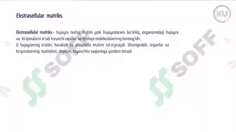 Tinchlik potensiali 8