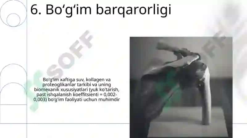 Bo'g'imlarning biomexanikasi. Anatomiya 8