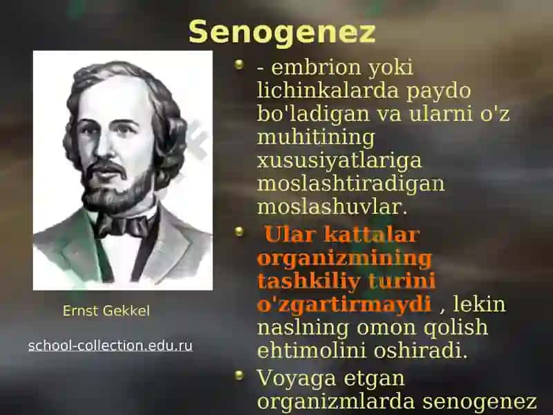 14-sonli ma’ruza 8