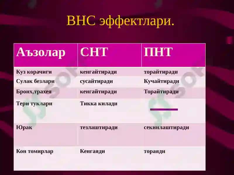 Вегетатив нерв тизими. Симпатик ва парасимпатик нервлар 8