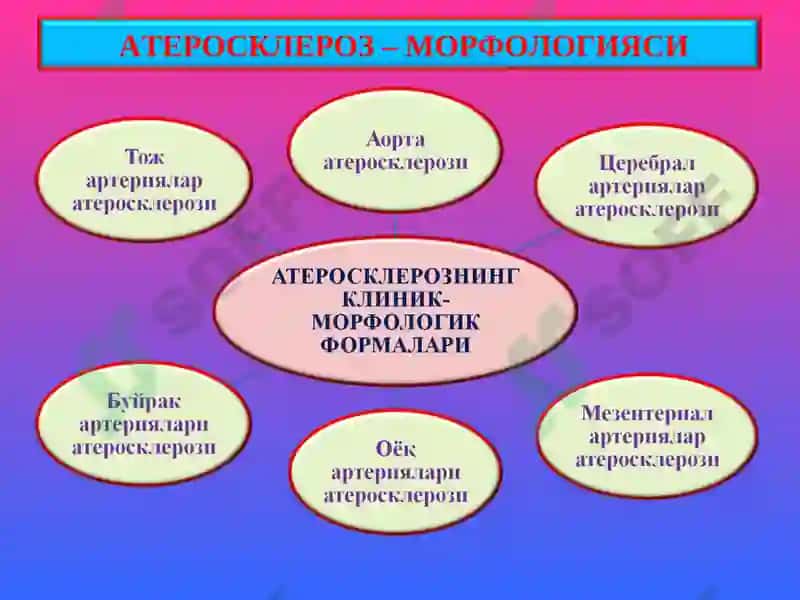 ПАТОЛОГИК АНАТОМИЯ 8