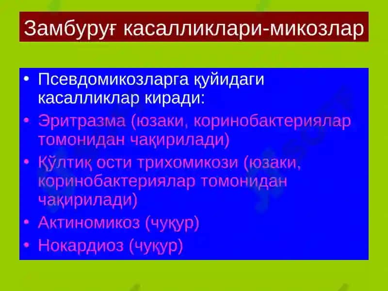 Терининг замбуруғка салликлари-микозлар 8