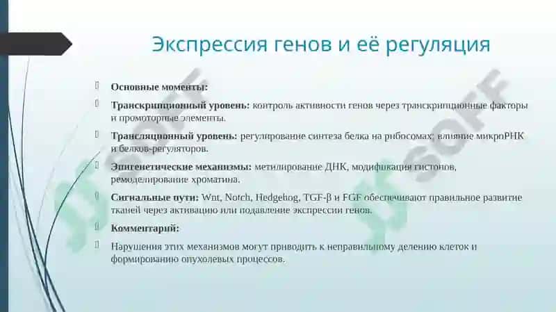 Генетический контроль развития 8