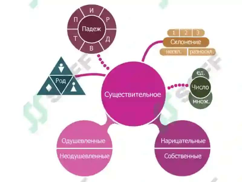 Части речи 8