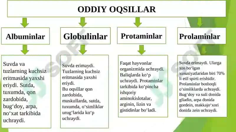 Oqsillar strukturasi, klassifikatsiyasi 8