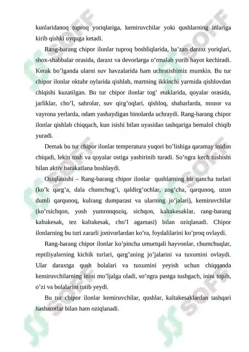 Surxondaryo viloyati sharoitida uchrovchi ilonlar 8