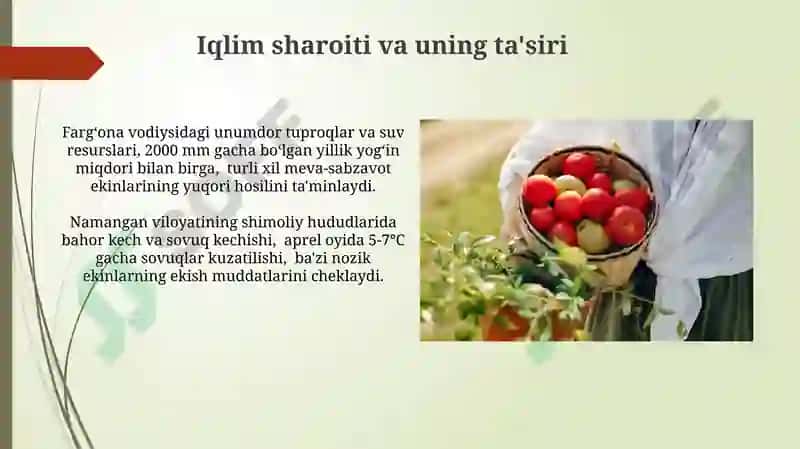 OʻZBEKISTON MEVA VA SABZAVOTCHLIK JAVOXIR 8