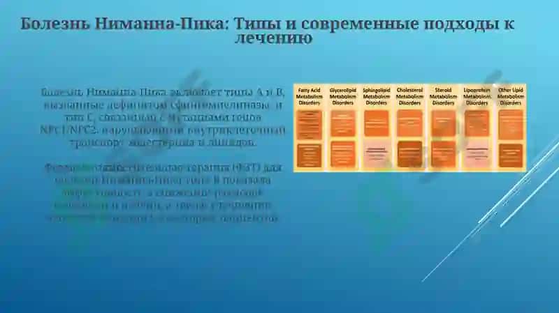 Нарушения обмена фосфолипидов 8
