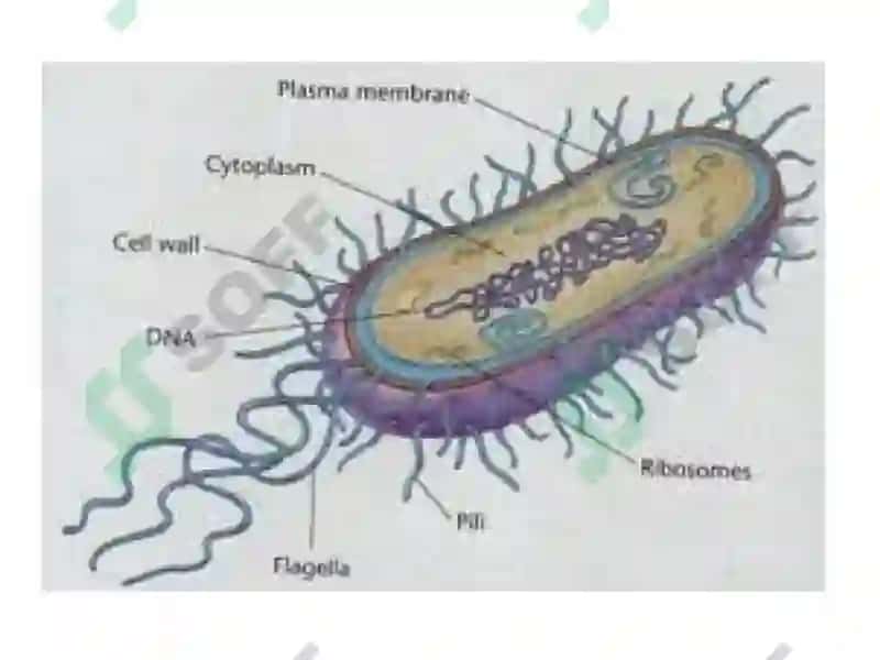 Virusologiya 8