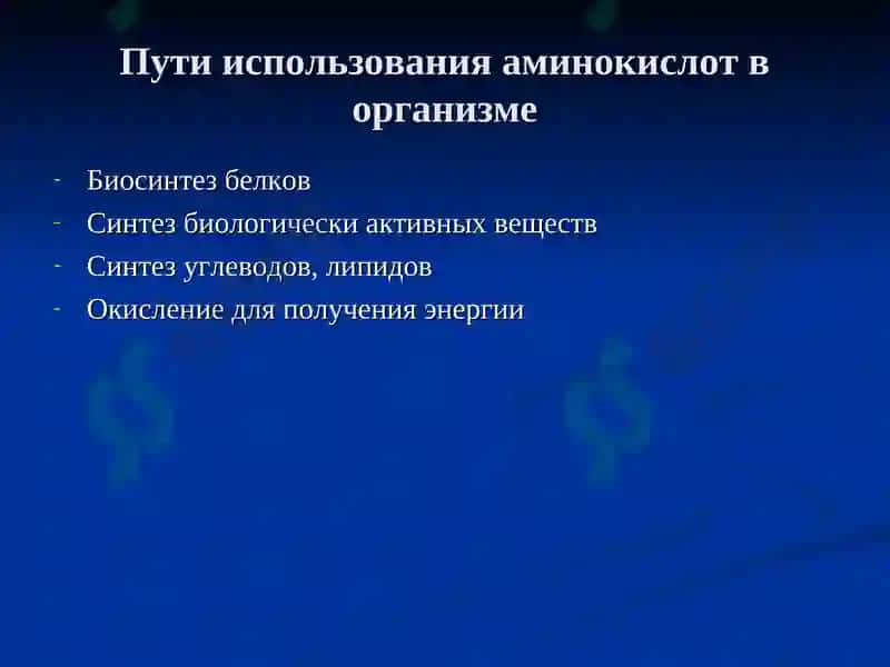 Обмен белков и аминокислот 8