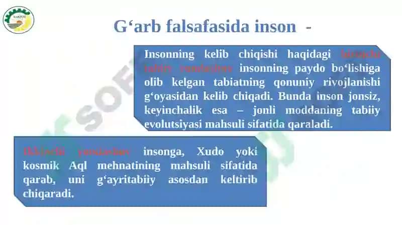 INSON FALSAFASI 8