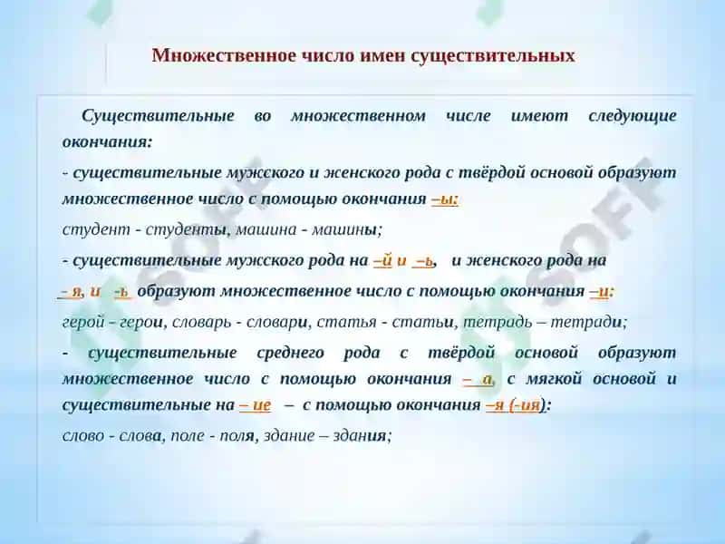 Грамматика 8