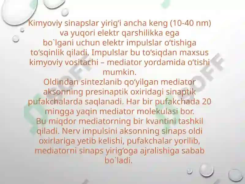 Sinapslar fiziologiyasi 8