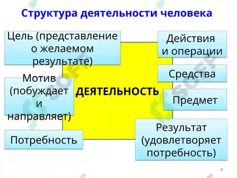 Педагогика 8