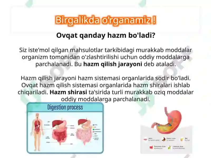 Ovqat hazm qilish tizimi 8