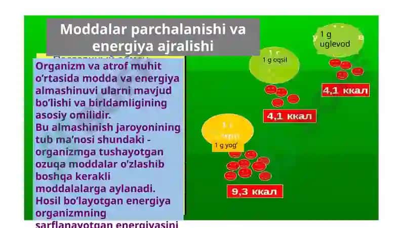 Termodinamika. Kimyoviy reaksiyalar kinetikasi 8