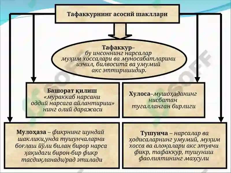 3-МАВЗУ: БИЛИШ НАЗАРИЯСИ 8