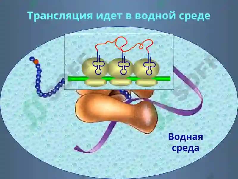 Фолдинг 8