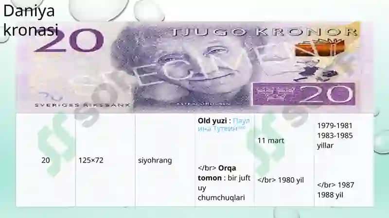 Daniya Bank Tizimi 8