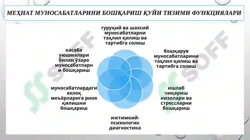 Инсон ресурсларини бошқариш тизими 8