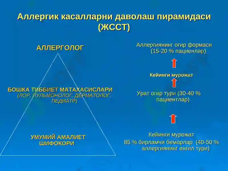 УАШ амалиети 8