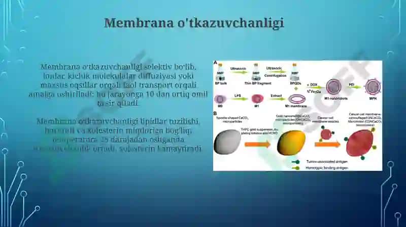 Biologik Membranalar 8