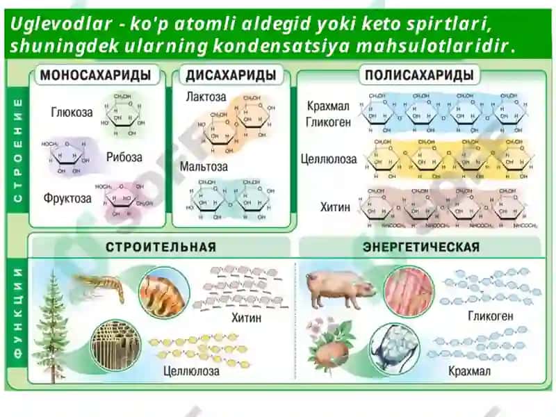 BIOKIMYO ASOSLARI FANI 8