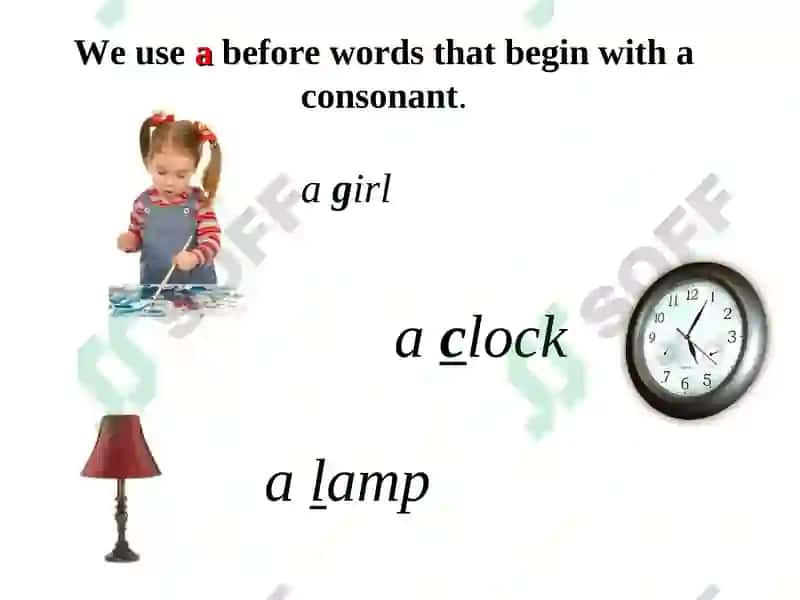 Articles 8