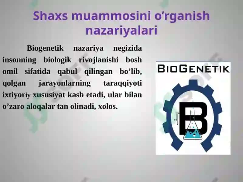 SHAXS 8