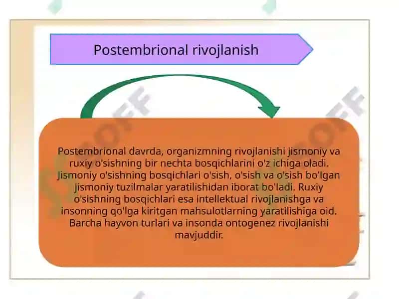 Ontogenezning ilk bosqichlari 8