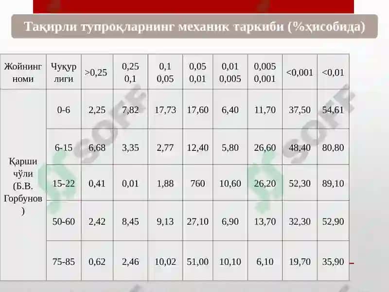 Гидроморфтупроқлар. Чўл зонаси тупроқлари 8