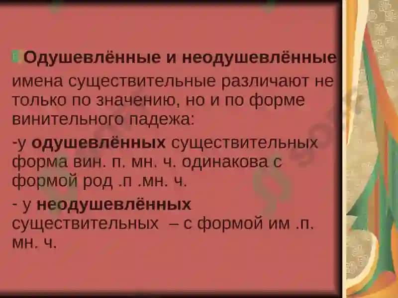 Имя существительное 8
