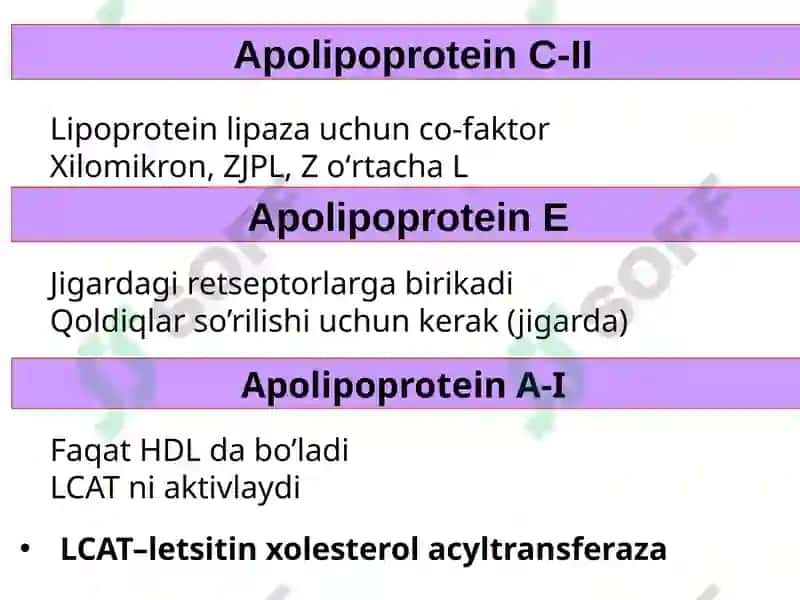 LIPIDLARNING METABOLIZMI 8